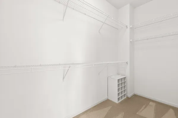 a living room with a couch and potted plant