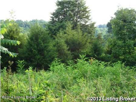 0 Beech Creek Road Mount Eden, KY 40046 - Photo 3 of 4 1366611_0725239
