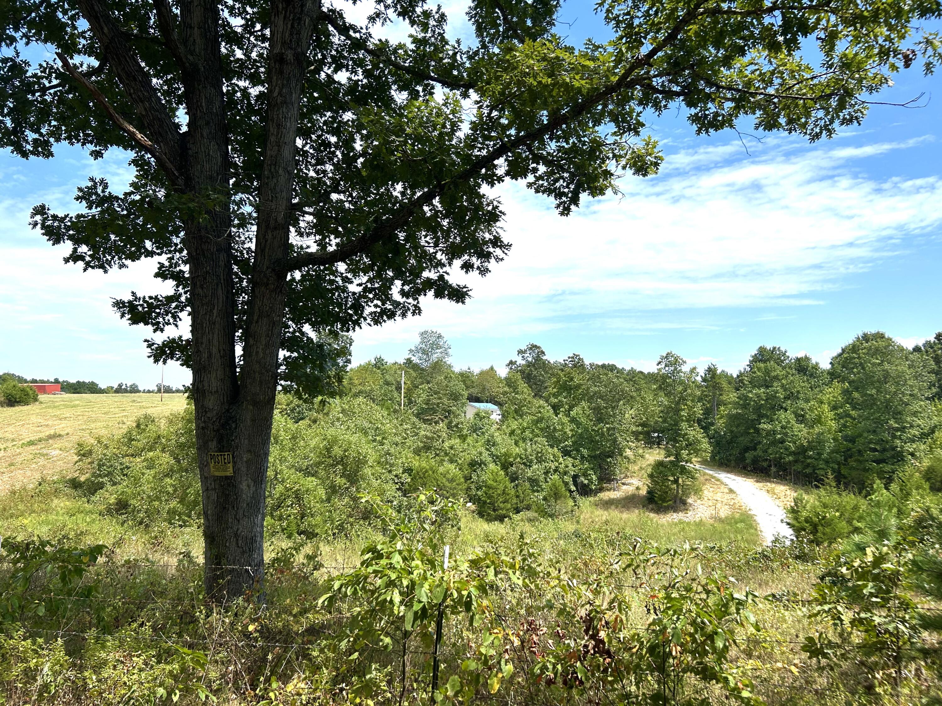10720 Sackett Road Licking, MO 65542 - Photo 1 of 19 IMG_9371
