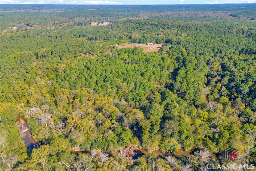 375 North Eades Road Carlton, GA 30627 - Photo 7 of 30