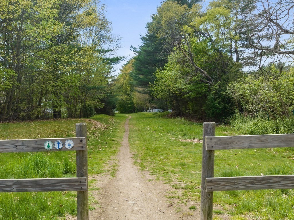 48 Fuller Brook Road Wellesley, MA 02482 - Photo 16 of 16 a view of lake from a yard