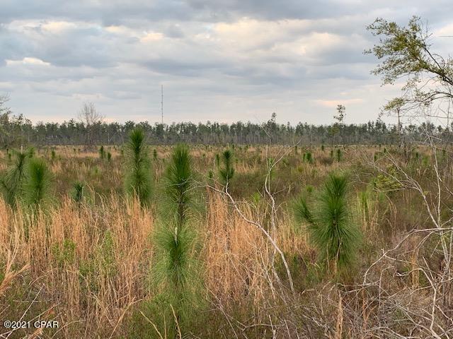0 Big Mac Road Clarksville, FL 32430 - Photo 8 of 21 Gallery Image 8