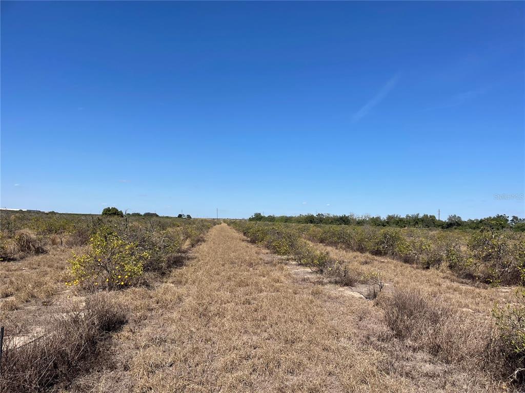 Lawrence Stewart Road Frostproof, FL 33843 - Photo 2 of 8