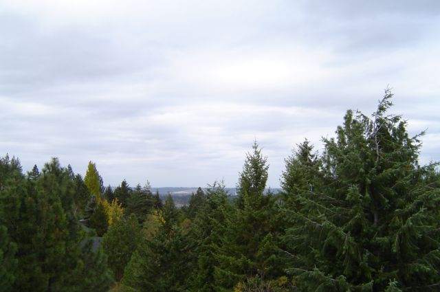 12905 East Apache Pass Road Spokane, WA 99206 - Photo 9 of 9 Gallery Image 9
