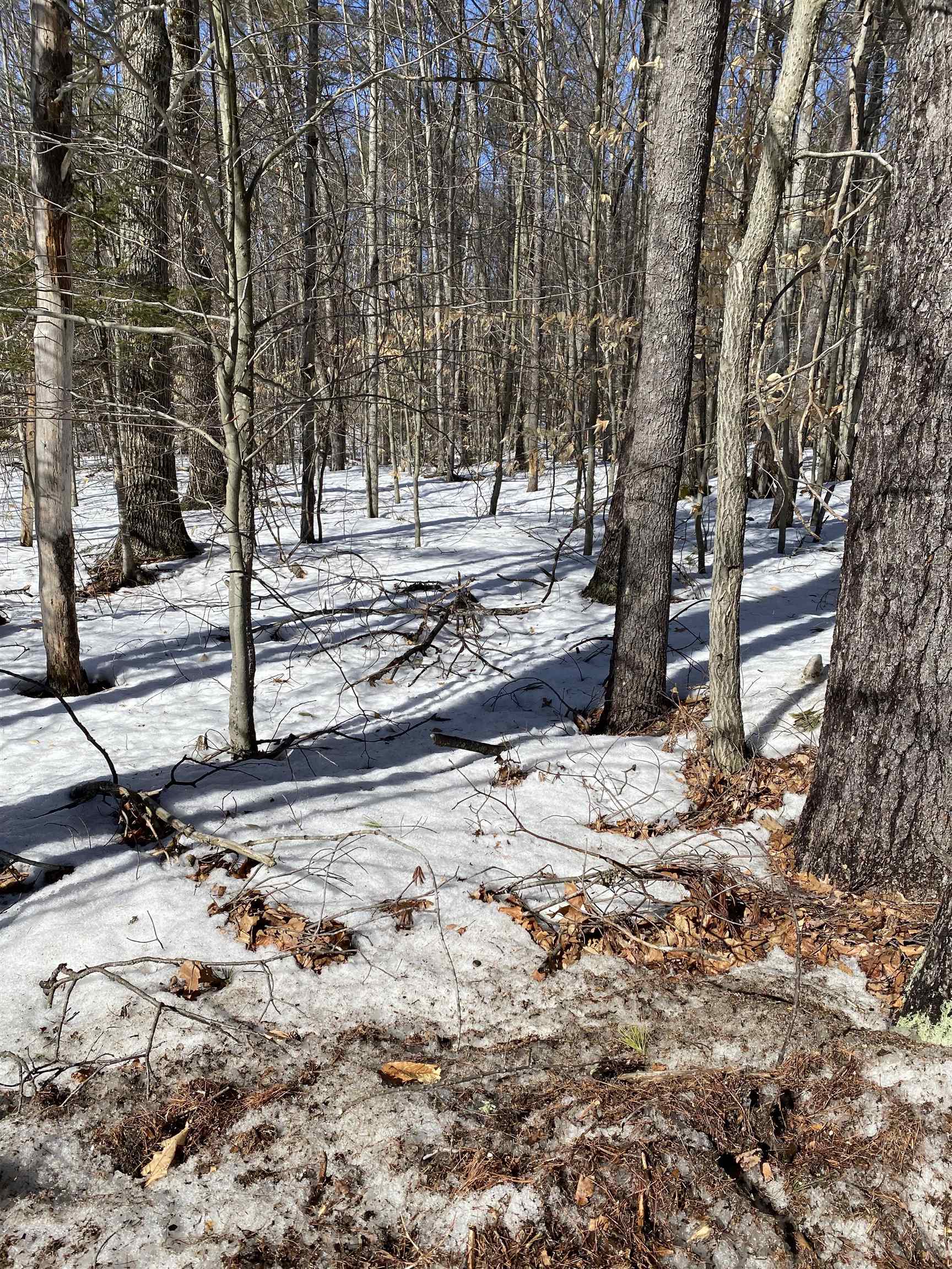 Longview Terrace Intervale, NH 03845 - Photo 2 of 3