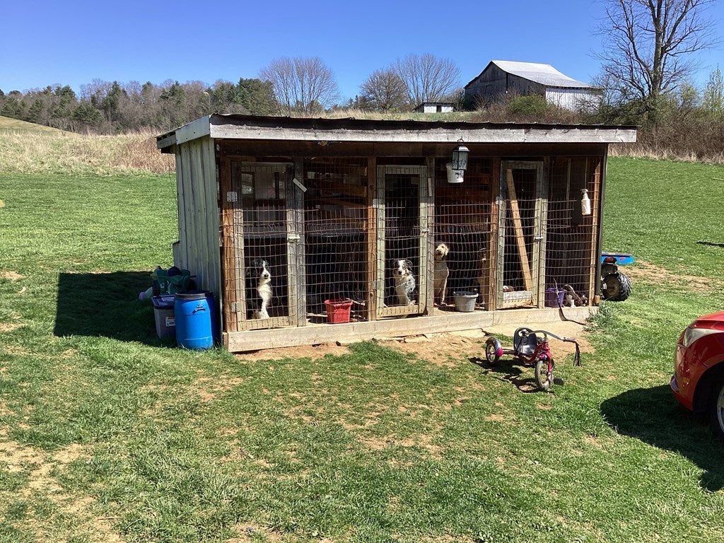 774 Liberty Hill Road Fries, VA 24330 - Photo 16 of 73 Gallery Image 16