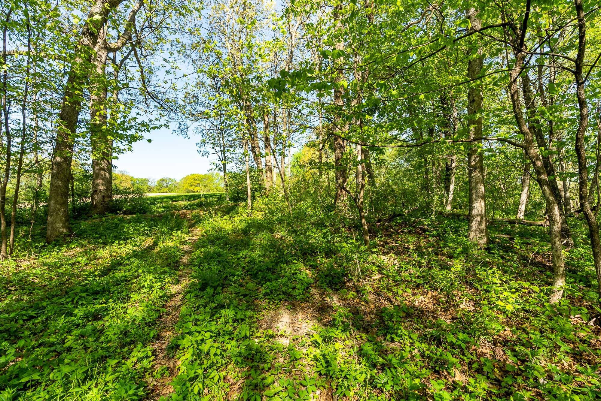 15999 Biba Road Muscoda, WI 53573 - Photo 58 of 103 Grant-County-WI-160-Acres-Land-For-Sale-