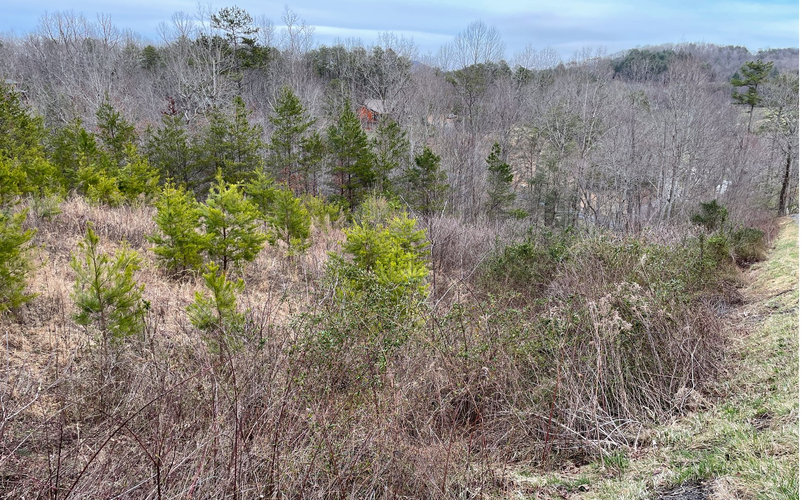 4 Brannon Ridge Young Harris, GA 30582 - Photo 3 of 8 Additional View