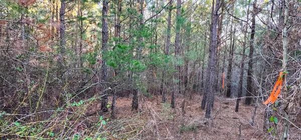 $299,900 | 0 Rose Lane, Nathalie, VA 24577