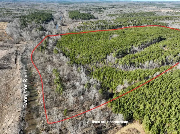 a view of a garden with a flower garden