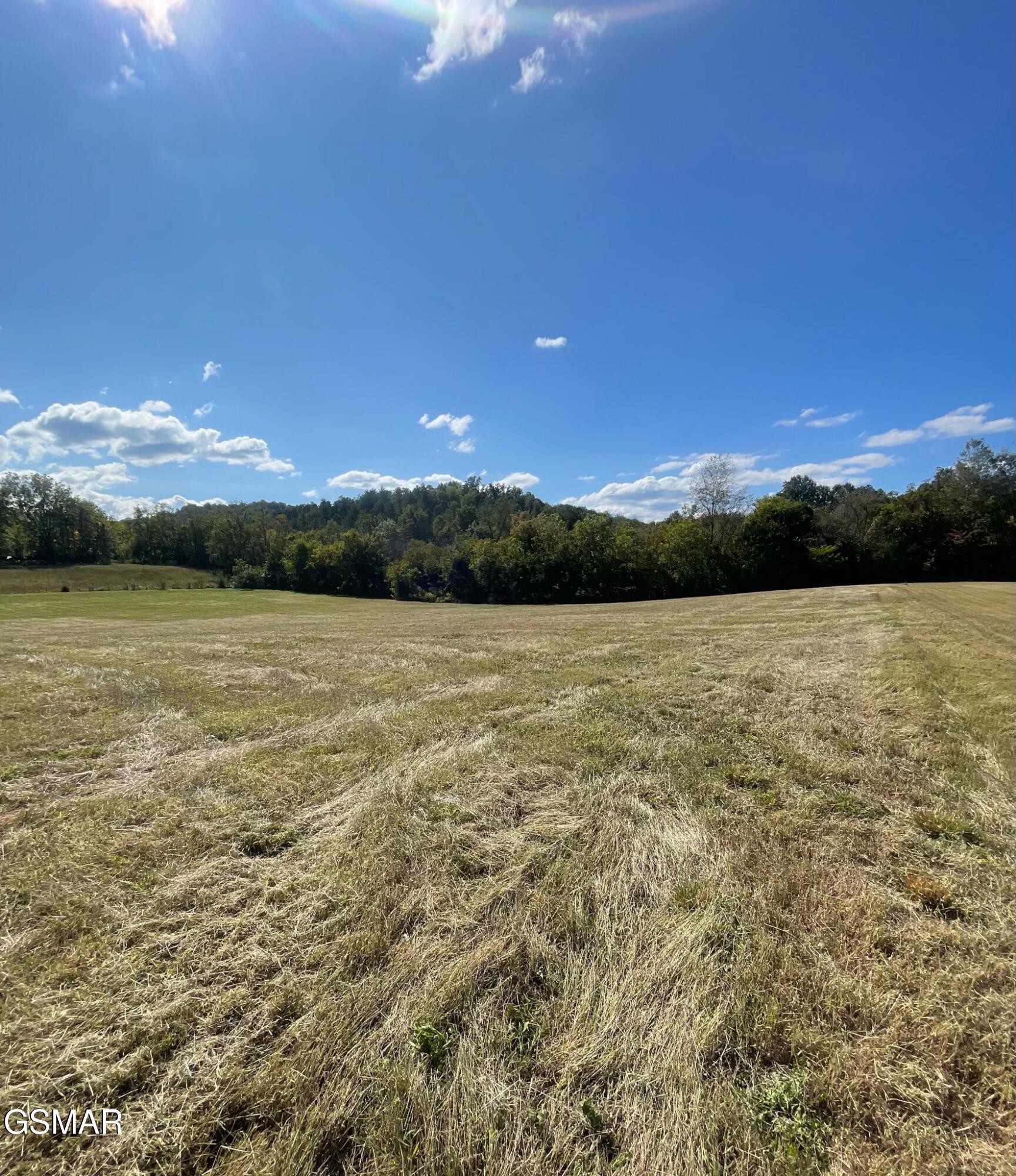 5402 Cocke County Line Road Cosby, TN 37722 - Photo 13 of 16 Gallery Image 13