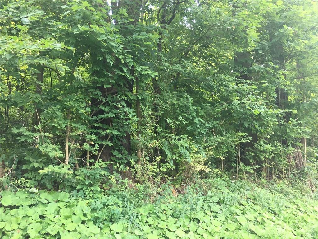 * McConnells Mills Road Washington, PA 15301 - Photo 6 of 8