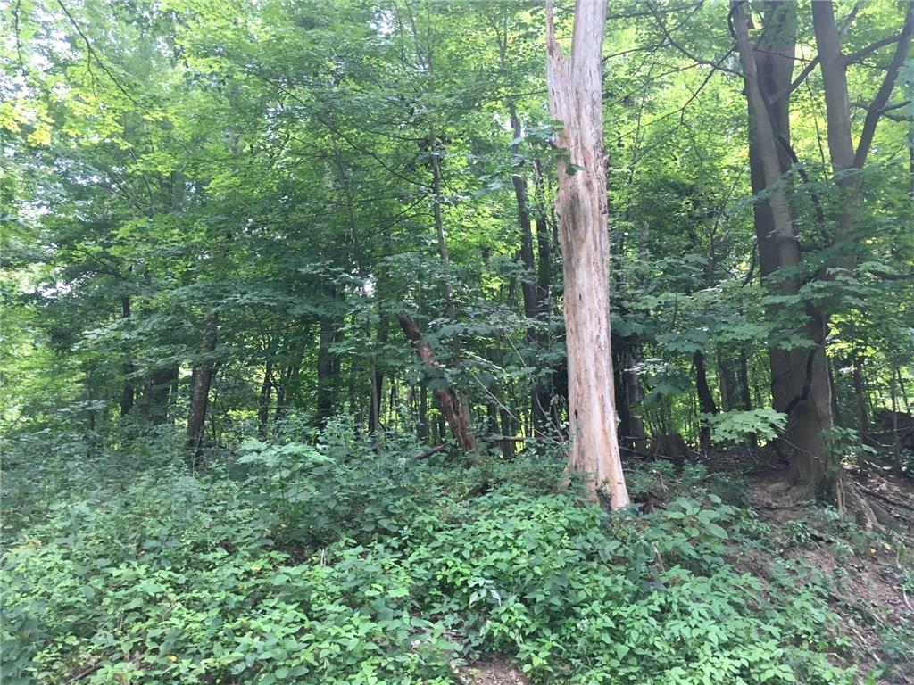 * McConnells Mills Road Washington, PA 15301 - Photo 7 of 8