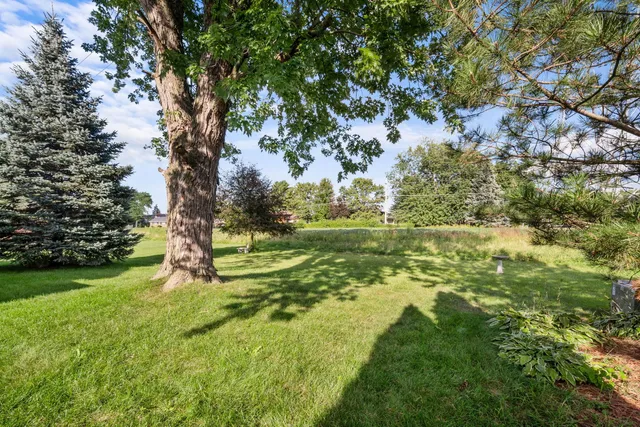 a backyard of a house with a yard and large trees