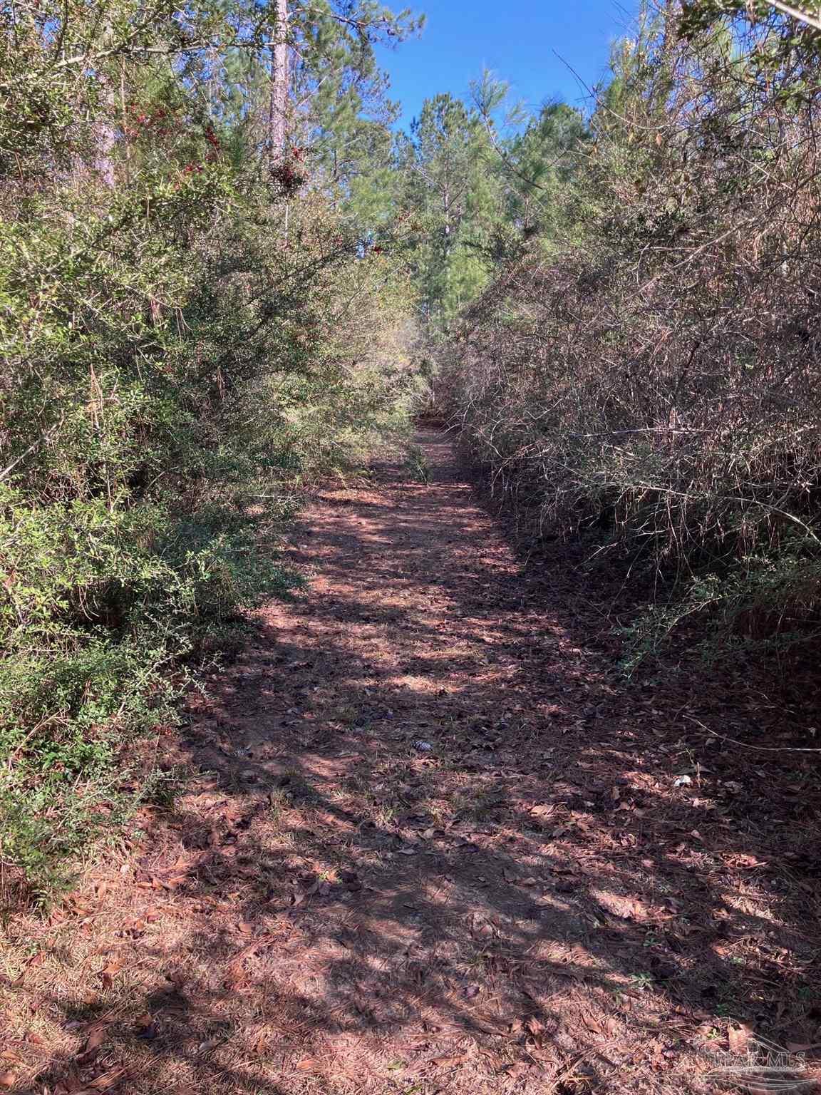 2462 10 Mile Road Pace, FL 32571 - Photo 4 of 12