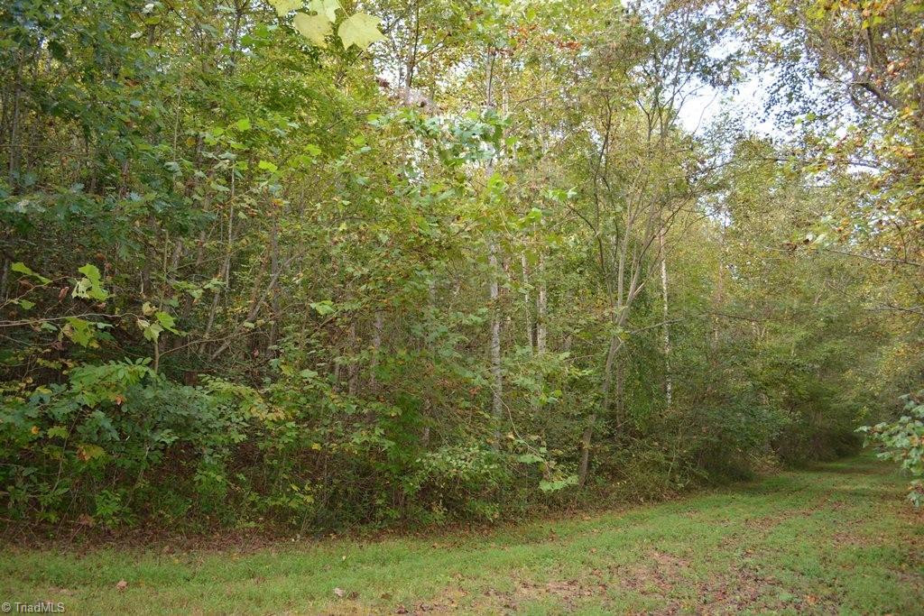 0 Ridge Street Jonesville, NC 28642 - Photo 12 of 22 Gallery Image 12