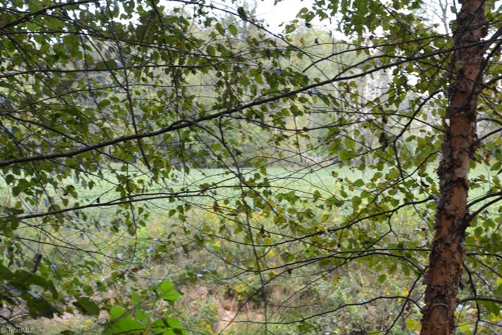 0 Ridge Street Jonesville, NC 28642 - Photo 13 of 22 Gallery Image 13
