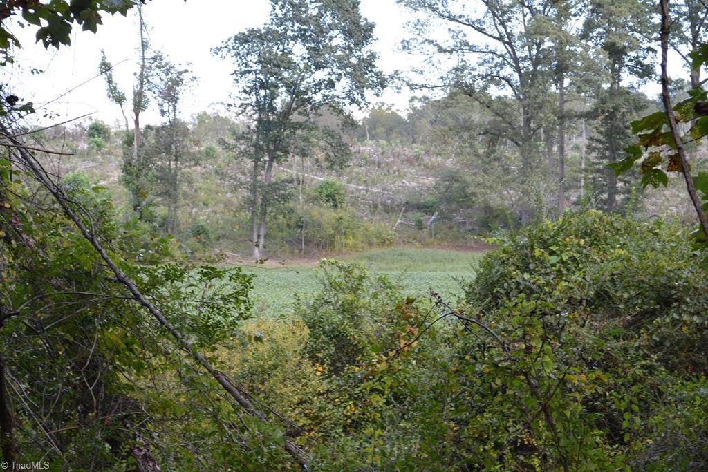 0 Ridge Street Jonesville, NC 28642 - Photo 19 of 22 Gallery Image 19