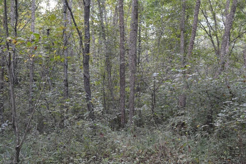 0 Ridge Street Jonesville, NC 28642 - Photo 21 of 22 Gallery Image 21