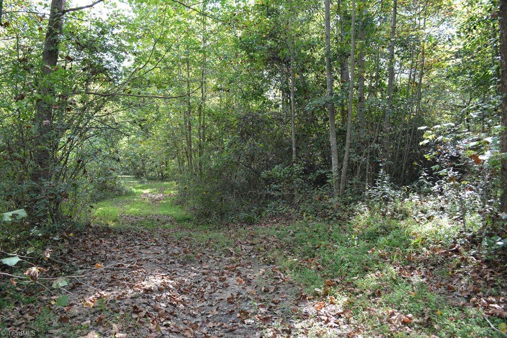 0 Ridge Street Jonesville, NC 28642 - Photo 5 of 22 Gallery Image 5
