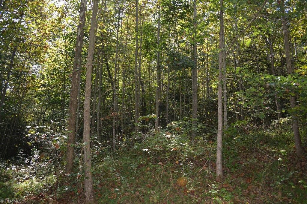 0 Ridge Street Jonesville, NC 28642 - Photo 8 of 22 Gallery Image 8