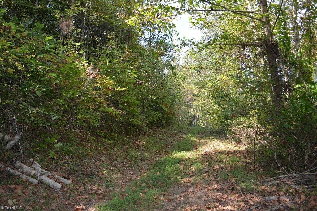 0 Ridge Street Jonesville, NC 28642 - Photo 10 of 22 Gallery Image 10