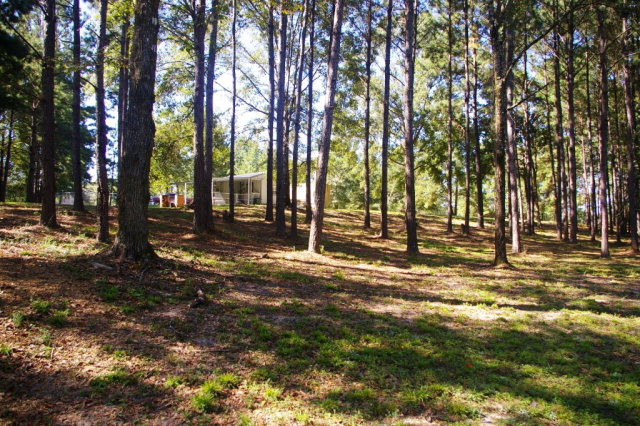 Main View