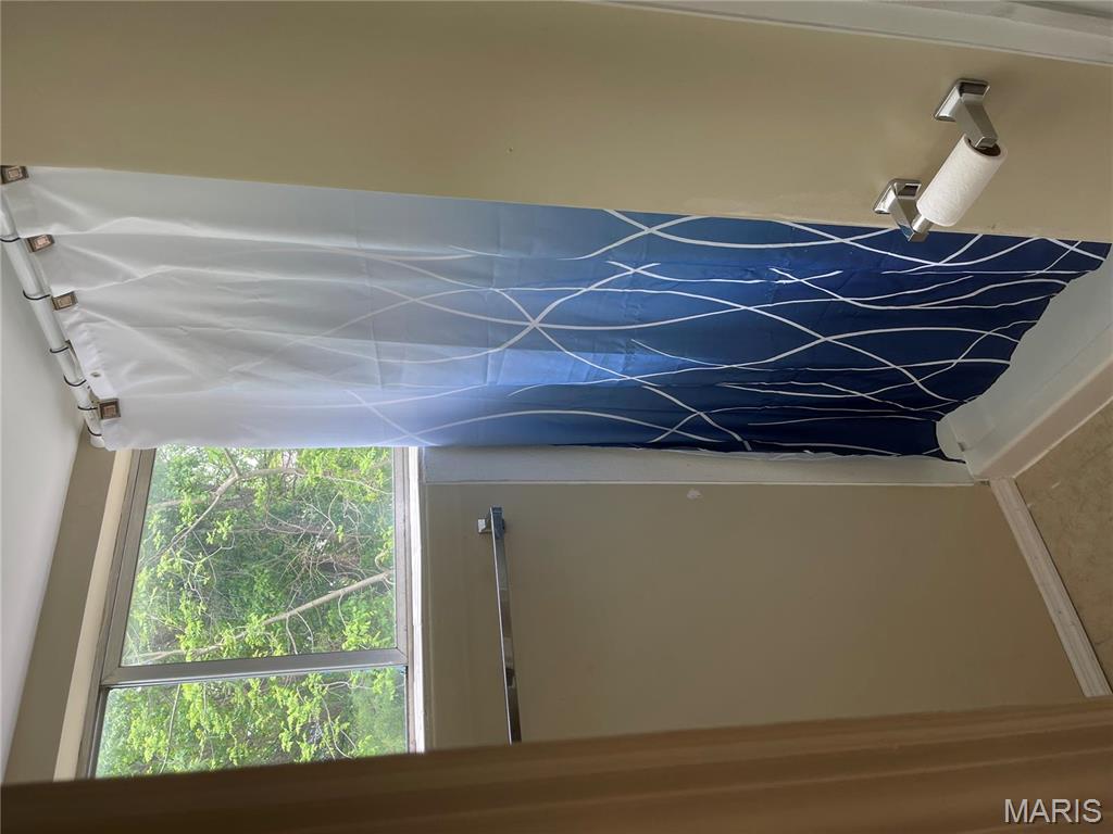 219 2nd Street Winfield, MO 63389 - Photo 18 of 22