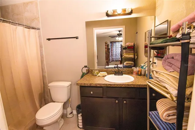 a bathroom with a sink a toilet a mirror and shower curtain