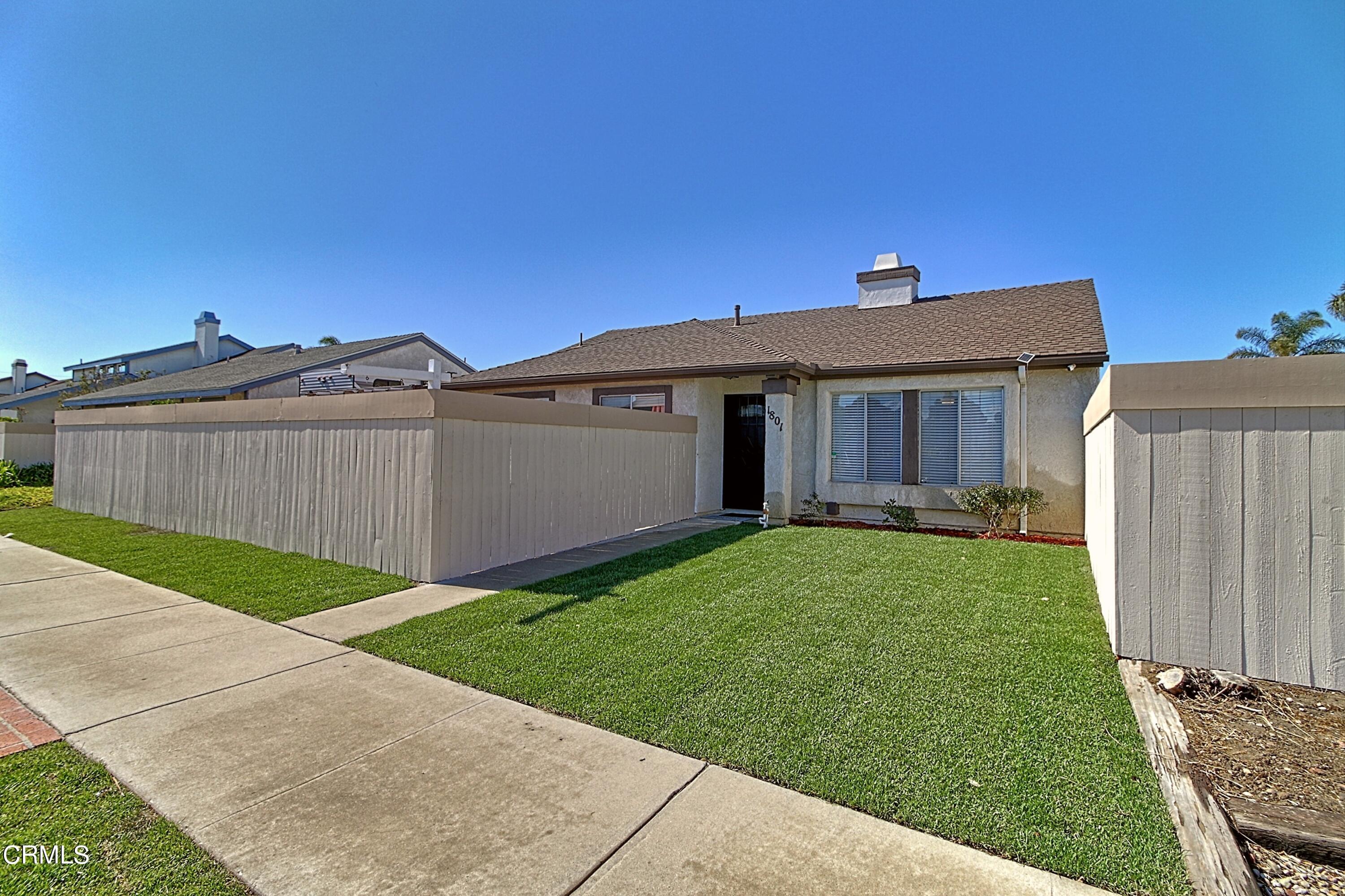 a view of a yard in front of a house with a large tree