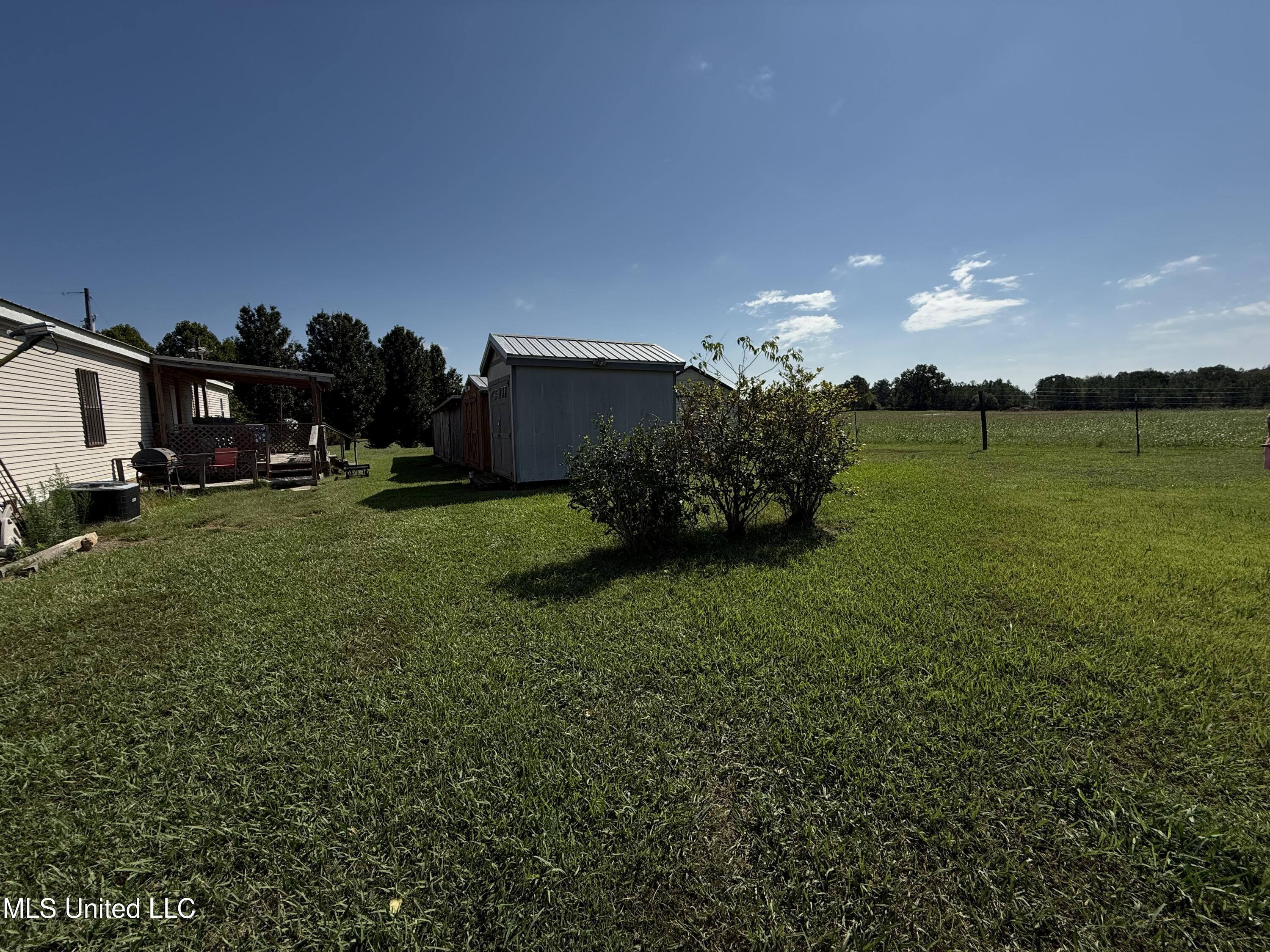 82 Holly Cove Coldwater, MS 38618 - Photo 12 of 13 IMG_0592