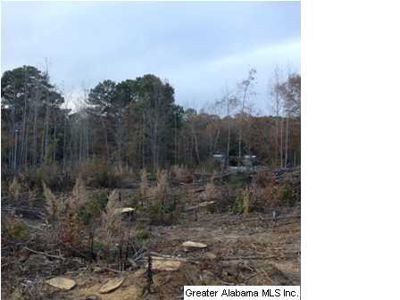 Rock Church Road, Unit 7 3 Sylacauga, AL 35150 - Photo 19 of 27 Gallery Image 19
