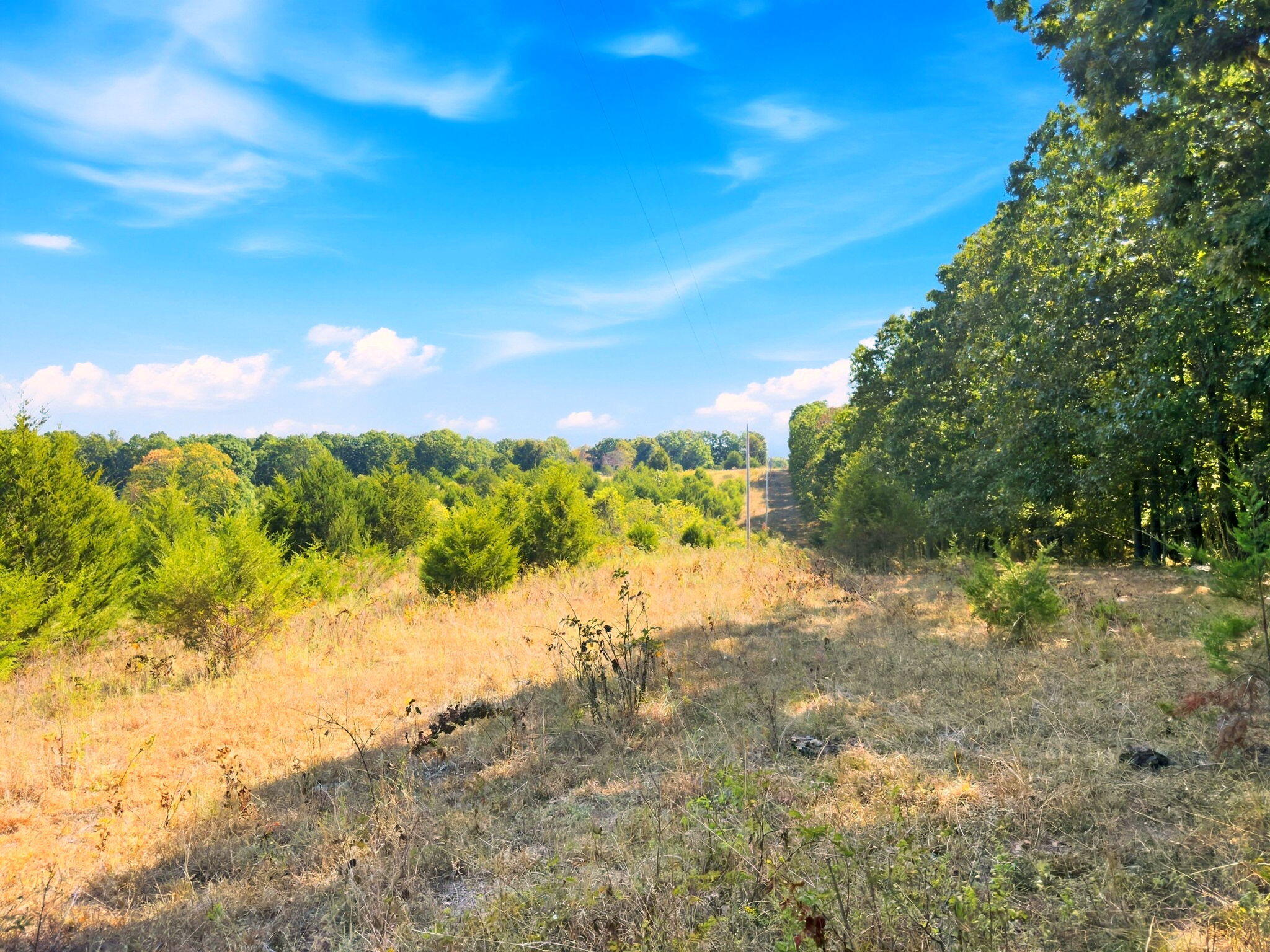 3723 Weaver Road Grovespring, MO 65662 - Photo 20 of 79 India Visser 3723 Weaver (24)