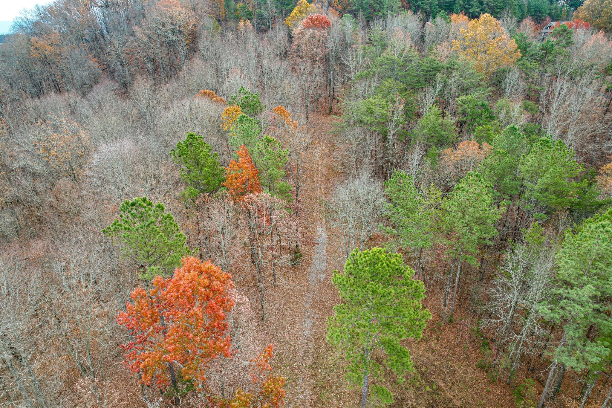 2324 County Road 758 Riceville, TN 37370 - Photo 35 of 43 Gallery Image 35