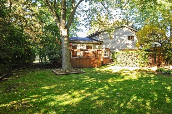 107 Ellendale Road Deerfield, IL 60015 - Photo 10 of 11