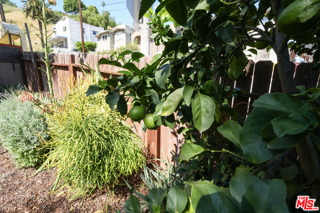 2847 Pyrites Street Los Angeles, CA 90032 - Photo 22 of 24