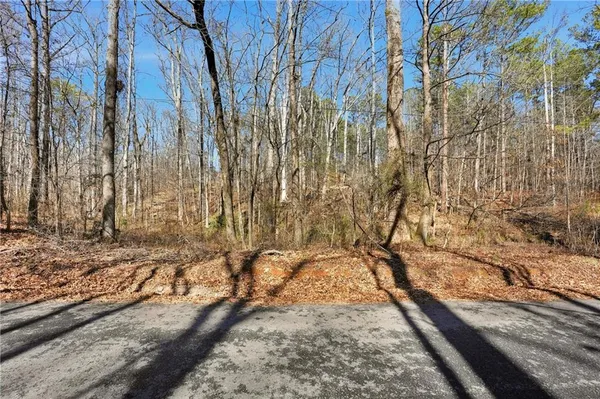 a view of a yard with trees