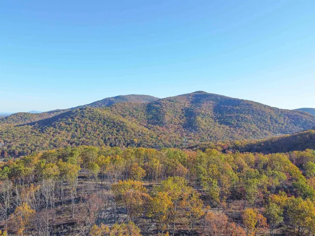 a view of mountain and tree