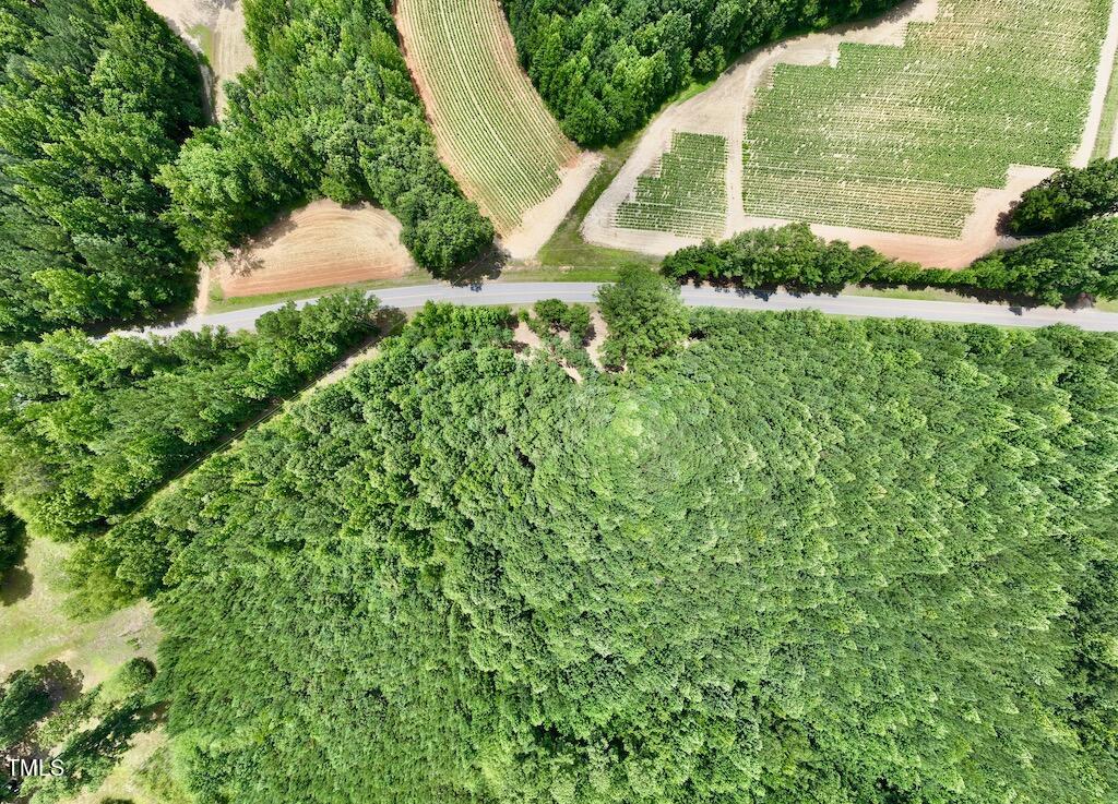 8 Peachtree Hills Road Spring Hope, NC 27882 - Photo 15 of 29 15