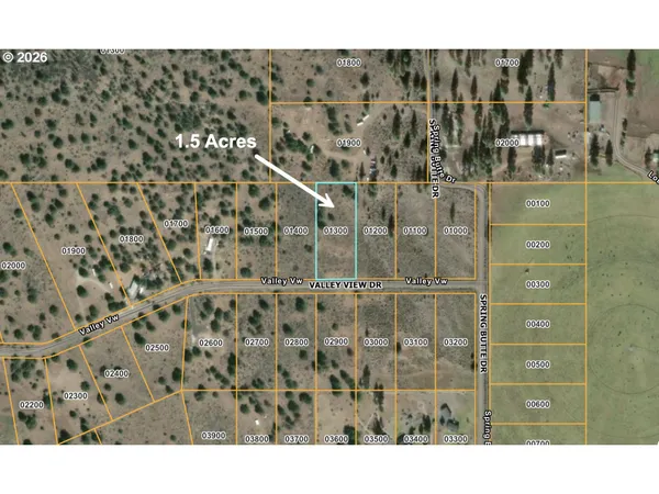 $19,000 | Valley View Drive, Beatty, OR 97621