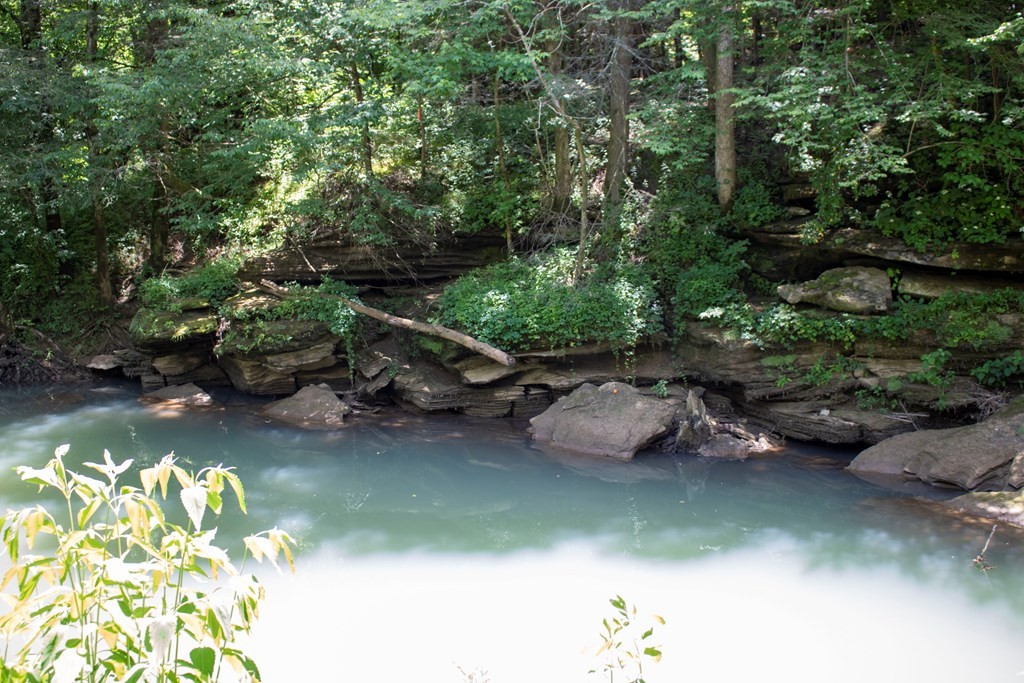 0 Frank Sims Road Sparta, TN 38583 - Photo 8 of 34 Gallery Image 8