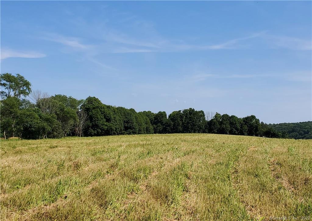 73 Mt Pleasant Road Newtown, CT 06470 - Photo 1 of 1