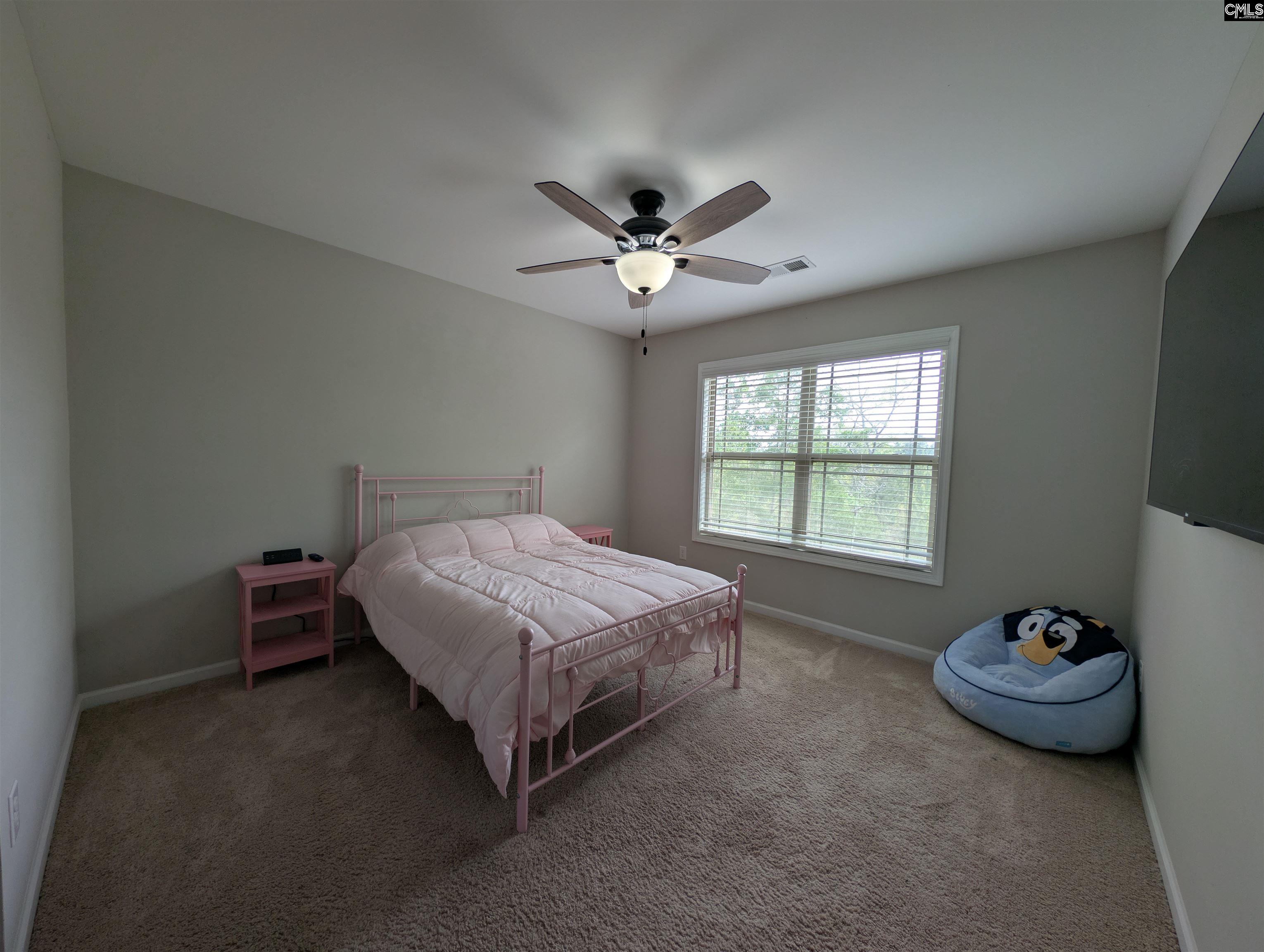 105 Tall Pines Road Chapin, SC 29036 - Photo 62 of 79