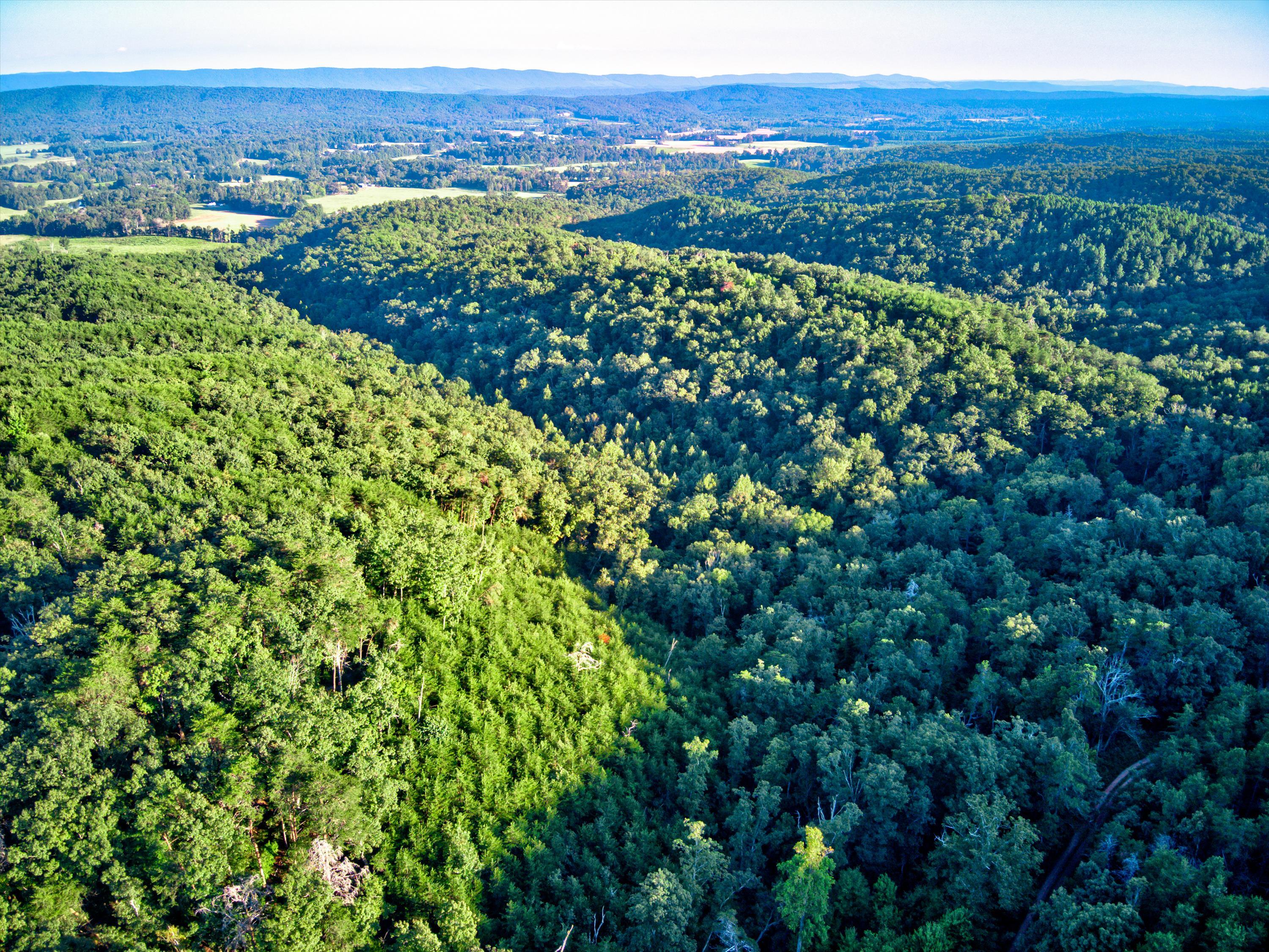 0 Smith Gap Road LaFayette, GA 30728 - Photo 1 of 18 0 Smith Gap Rd Aerial-01