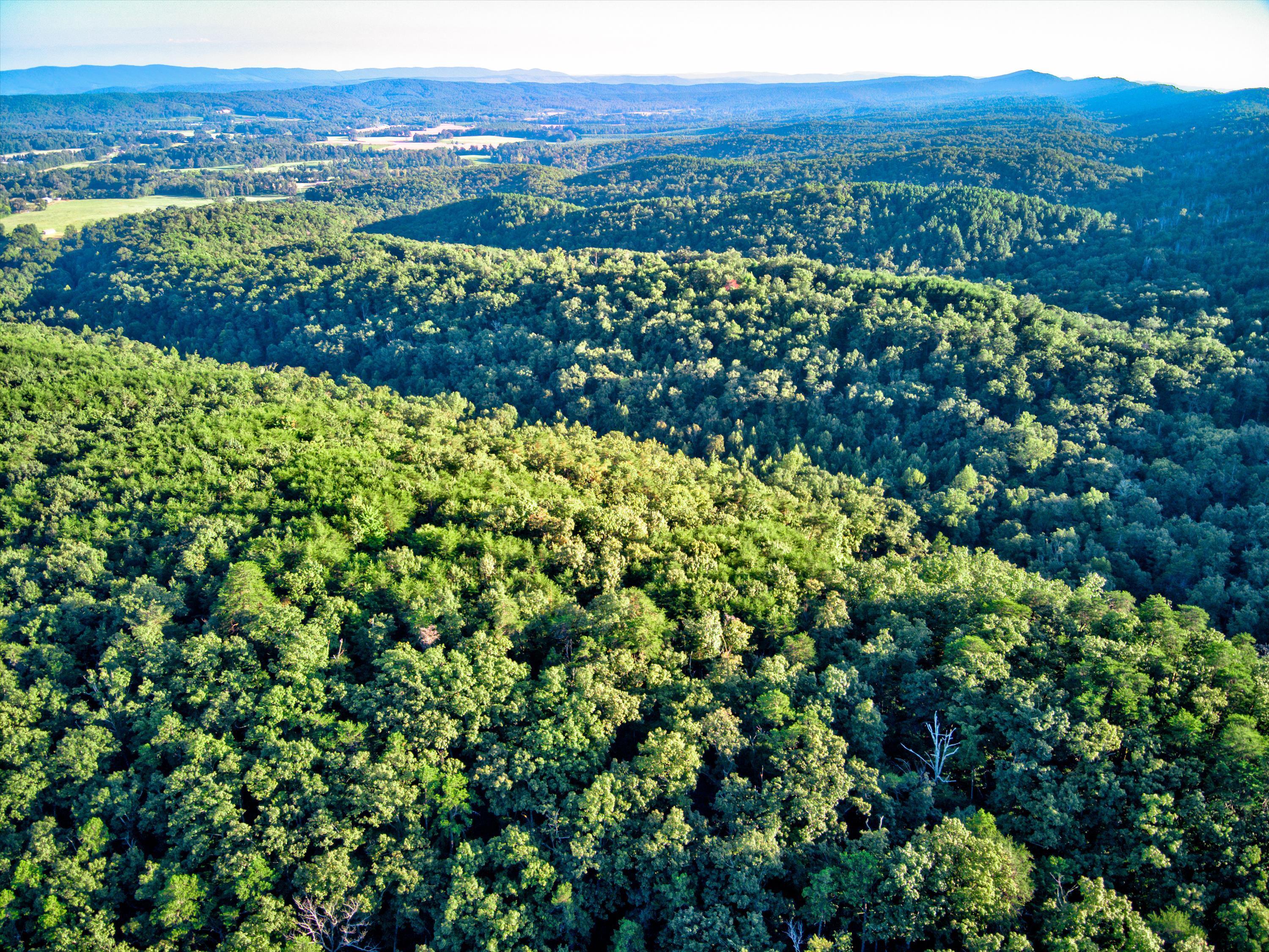 0 Smith Gap Road LaFayette, GA 30728 - Photo 2 of 18 0 Smith Gap Rd Aerial-02