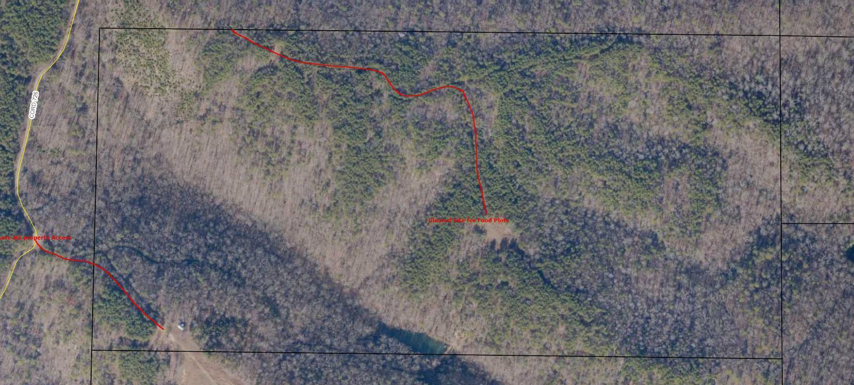 0 Smith Gap Road LaFayette, GA 30728 - Photo 16 of 18 Clearing