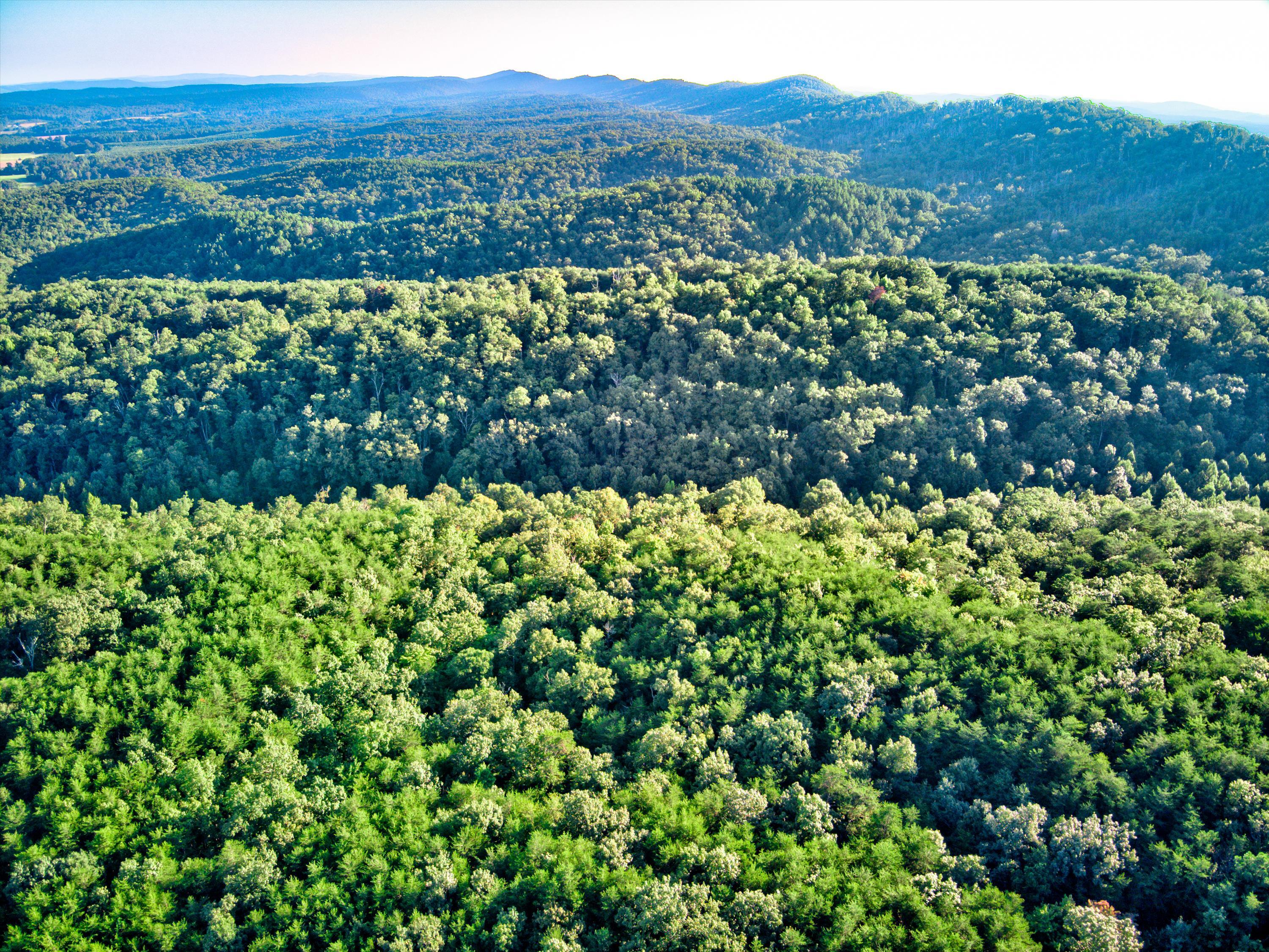 0 Smith Gap Road LaFayette, GA 30728 - Photo 4 of 18 0 Smith Gap Rd Aerial-04