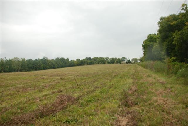 5844 Fords Mill Road Versailles, KY 40383 - Photo 57 of 58 Photo 57