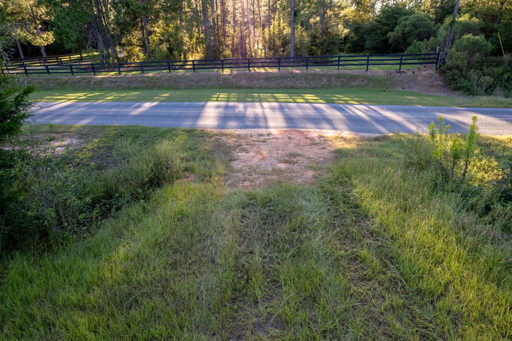 2226 Randall Wade Road Headland, AL 36345 - Photo 9 of 60