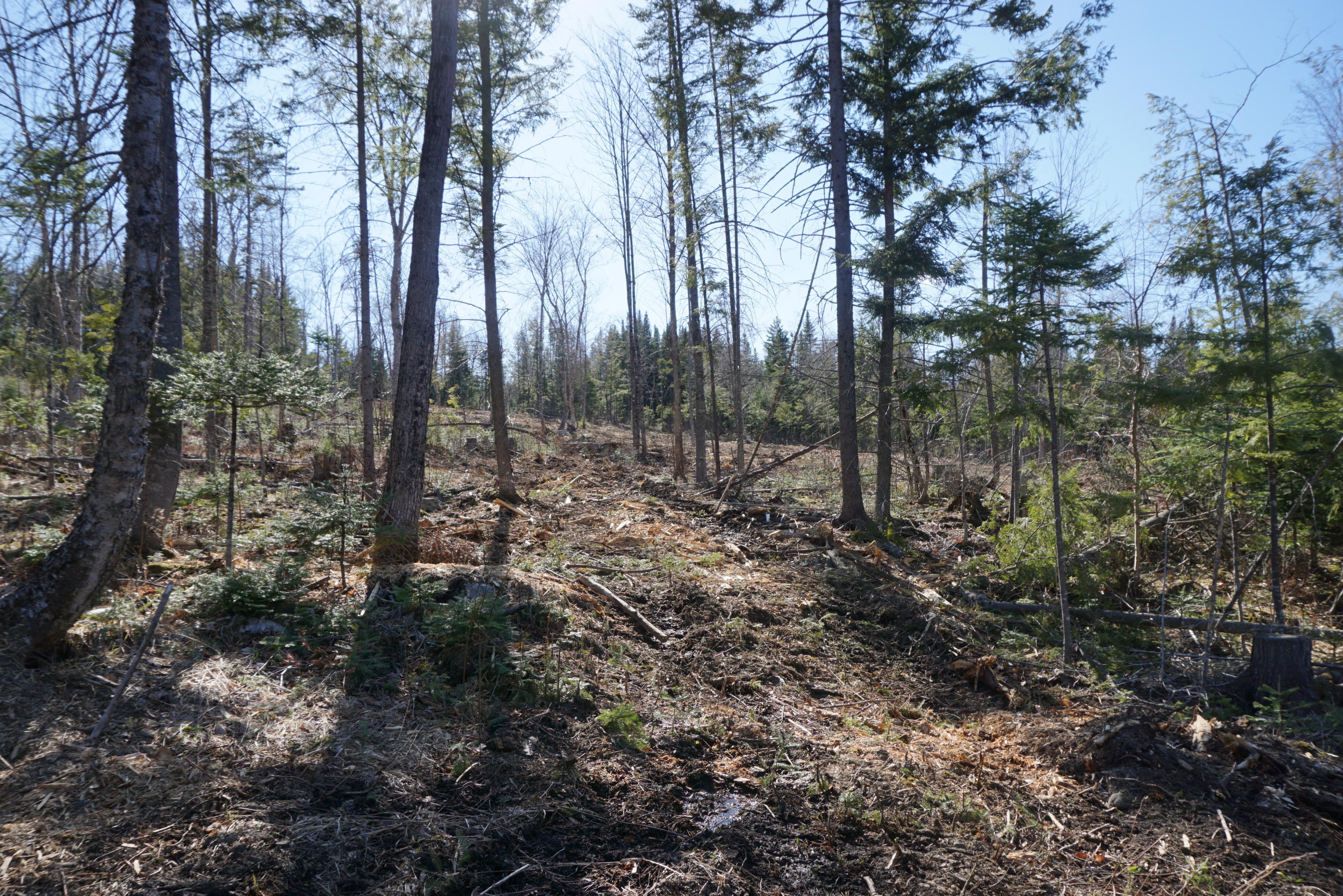 121 Rockwood Road Greenville Junction, ME 04442 - Photo 12 of 17 2DA41D89-8D48-4549-8643-5EF92C23101B